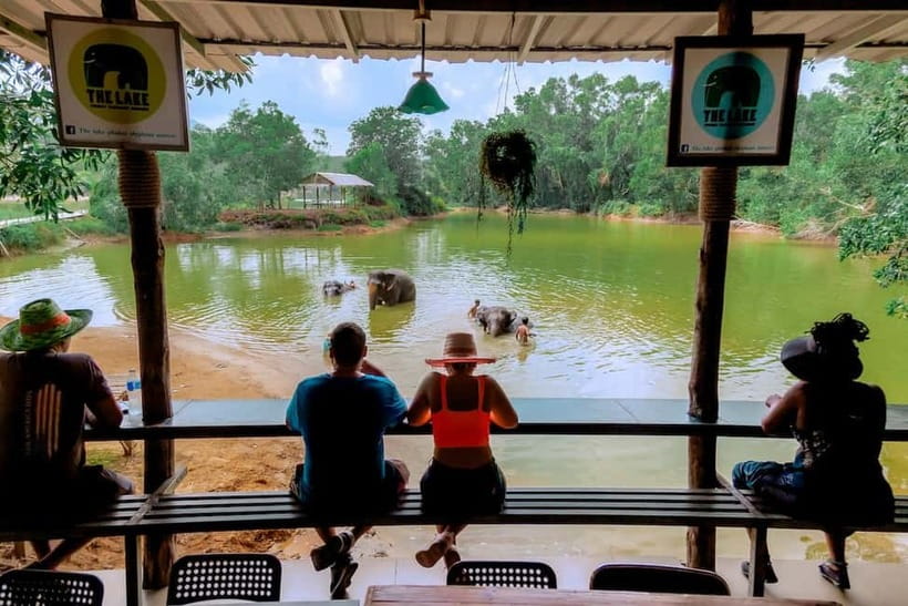 Phuket: Elephant Sanctuary Feed and Bathe Gentle Giants - Price and value: is $56 per person worth it?