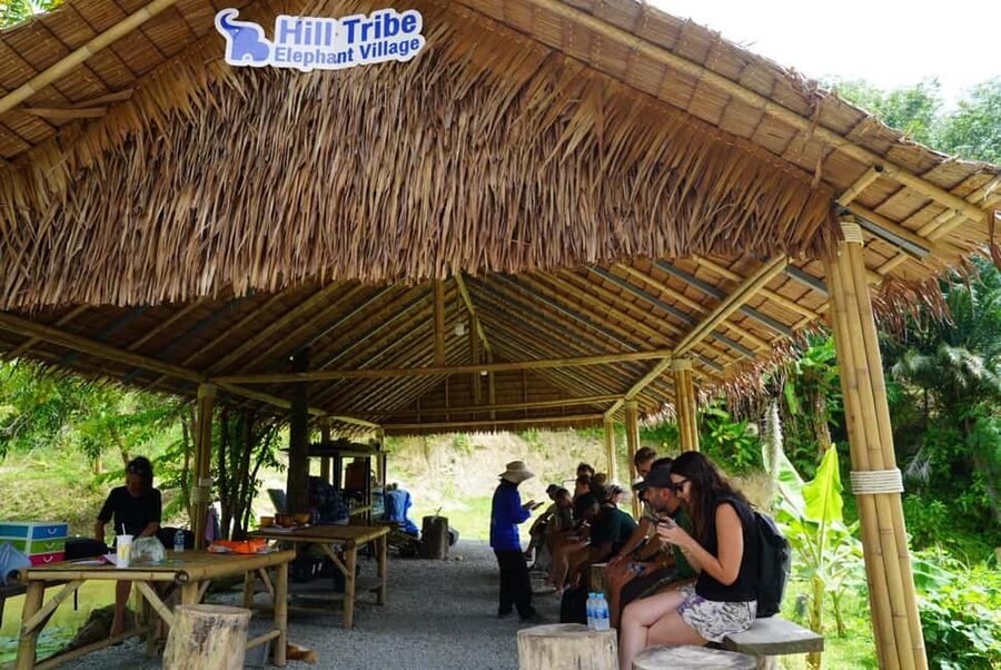 Phuket: Elephant Sanctuary Guided Tour with Hotel Transfers - A Gentle, Ethical Elephant Hour In Phuket