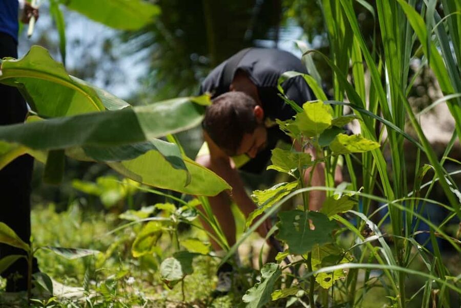 Phuket: Elephant Sanctuary Guided Tour with Hotel Transfers - Elephant Stories And Conservation Efforts That Make It Feel Bigger