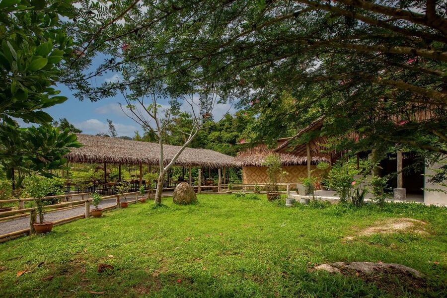Phuket: Elephant Sanctuary Guided Tour with Hotel Transfers - How Many Elephants Will You See In Your One-Hour Visit