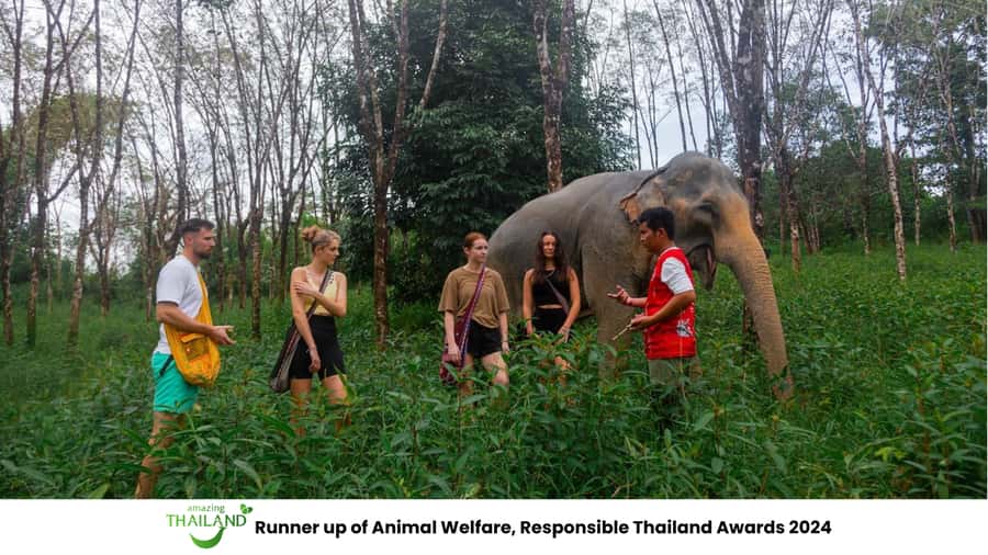 Phuket: Elephant Sanctuary Tour, Cooking Class & Lunch - Key things you should know before you go