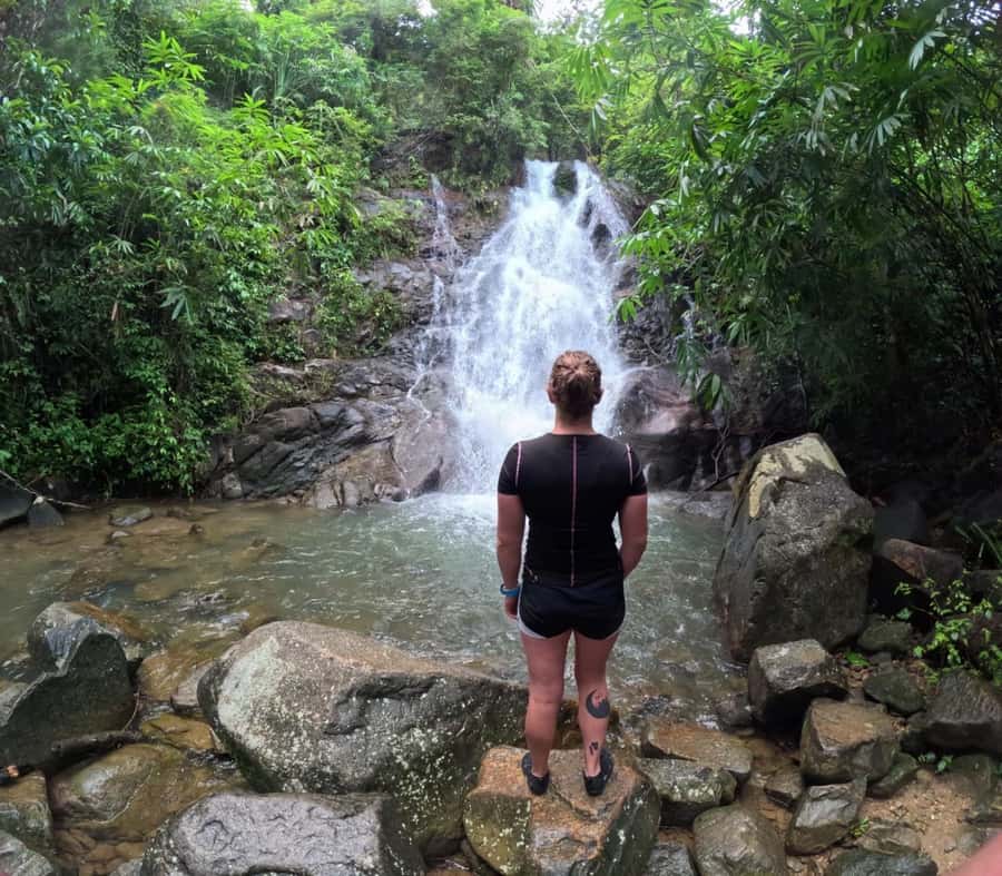 Phuket: Elephant Sanctuary Tour, Cooking Class & Lunch - Small drawbacks to keep you realistic