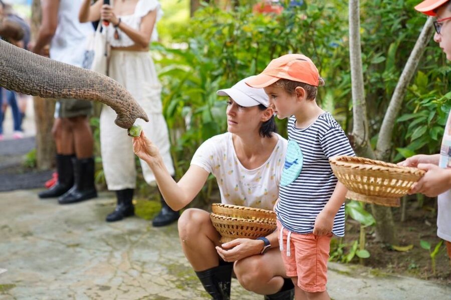 Phuket: Elephant Sanctuary Tour with Hotel Transfers - Should You Book This Phuket Elephant Sanctuary Tour?