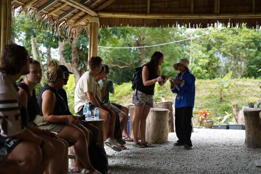 Phuket: Elephant Sanctuary Tour with Hotel Transfers - Feeding Rice Balls in a Sanctuary Setup That Feels Guided