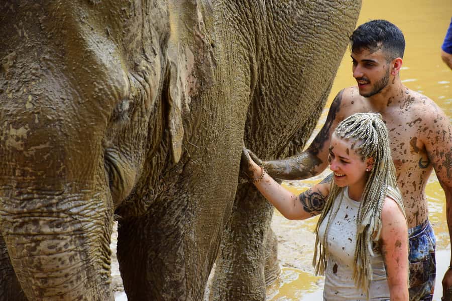 Phuket: Elephant Save & Care Program Tour - Elephant care and interaction style, what to watch for