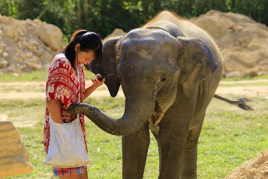 Phuket: Elephant Save & Care Program Tour - What to pack so you stay comfortable (even after the mud)