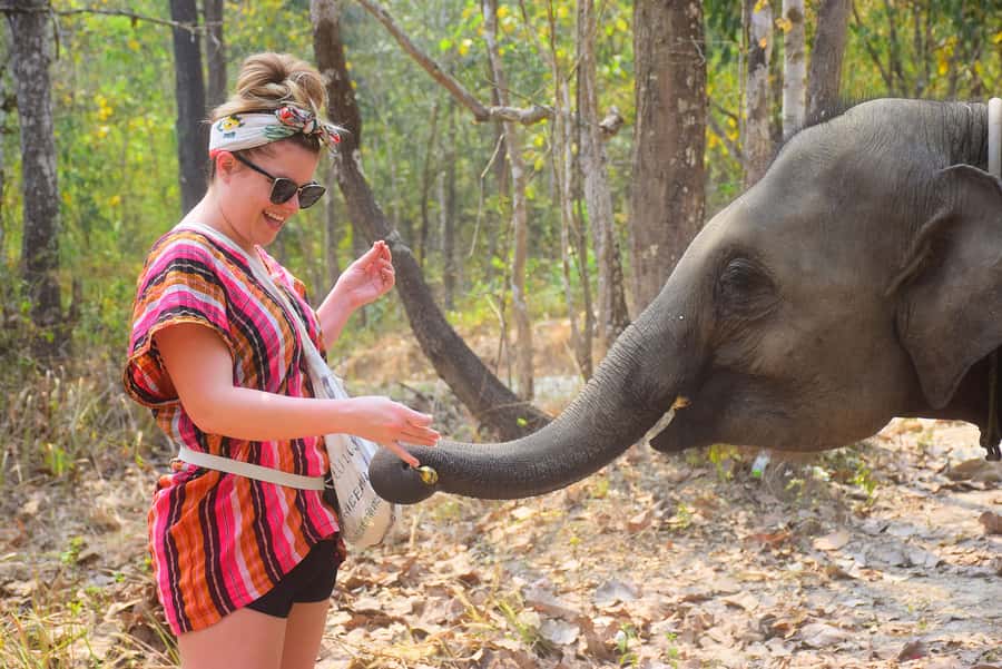 Phuket: Elephant Save & Care Program Tour - Lunch box and the photo part, what feels included