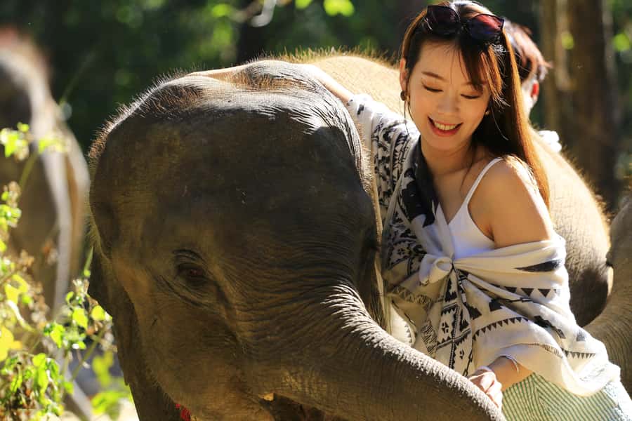 Phuket: Elephant Save & Care Program Tour - Who should book this tour in Phuket