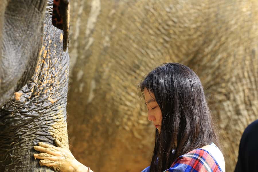 Phuket: Elephant Save & Care Program Tour - The decision: should you book this Elephant Save and Care Program Tour?