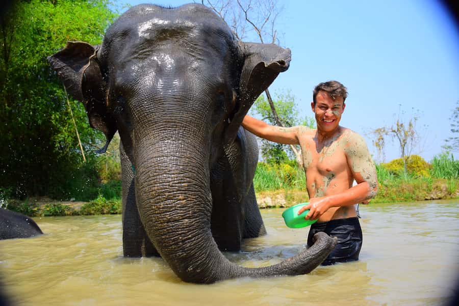 Phuket: Elephant Save & Care Program Tour - The exact flow in the morning session (and what each part means)