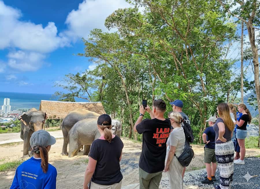 Phuket: Ethical Elephant Sanctuary Experience - Phuket Pickup to Lake Phuket Elephant Sanctuary: The drive matters