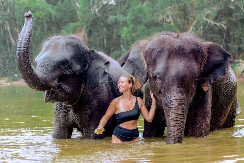 Phuket: Ethical Elephant Sanctuary Experience - Price and value at about $32 per person