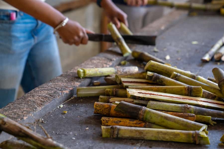 Phuket: Ethical Elephant Sanctuary Experience - Ethics and elephant welfare: What you’re really signing up for