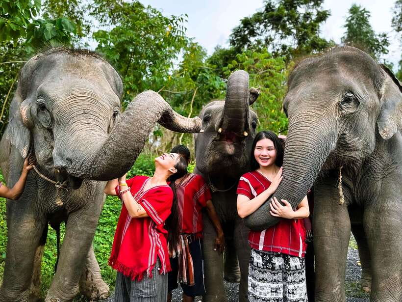 Phuket : Experience feeding and bathing elephants 1.5 Hrs. - Key things I’d bet on
