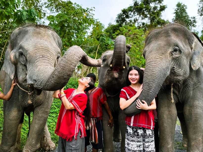 Phuket : Experience feeding and bathing elephants 1.5 Hrs. - Price and Value: Is $48 Worth It?