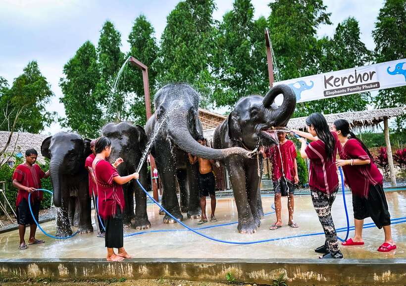 Phuket : Experience feeding and bathing elephants 1.5 Hrs. - Bathing Time: Where the Best Photos Come From (and Where You Get Soaked)