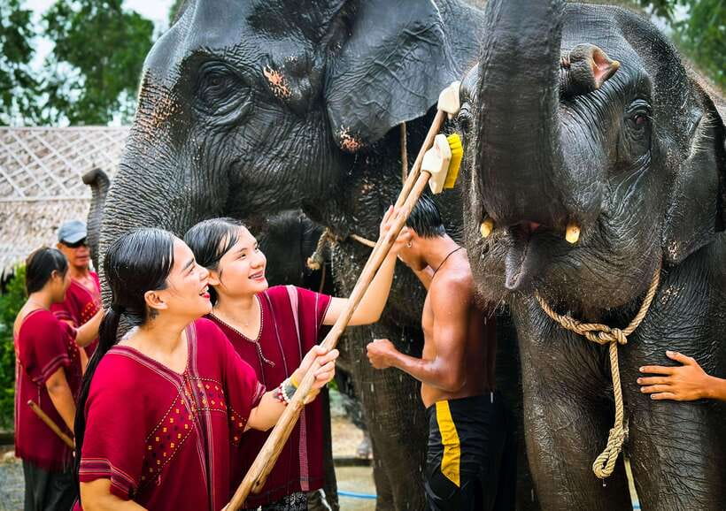 Phuket : Experience feeding and bathing elephants 1.5 Hrs. - Culture, Care, and Safety: What Good Guides Actually Do
