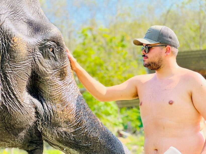 Phuket: Feeding Elephants at Phuket Elephant Care - Price and Value: Does $41 Per Person Make Sense?