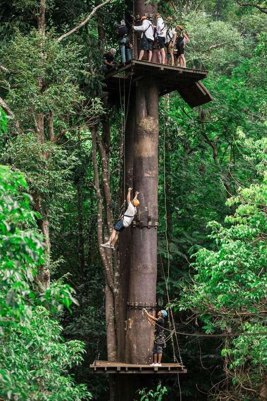 Phuket: Flying Hanuman Zipline Adventure - Pickup, Van Time, and What Your Day Feels Like