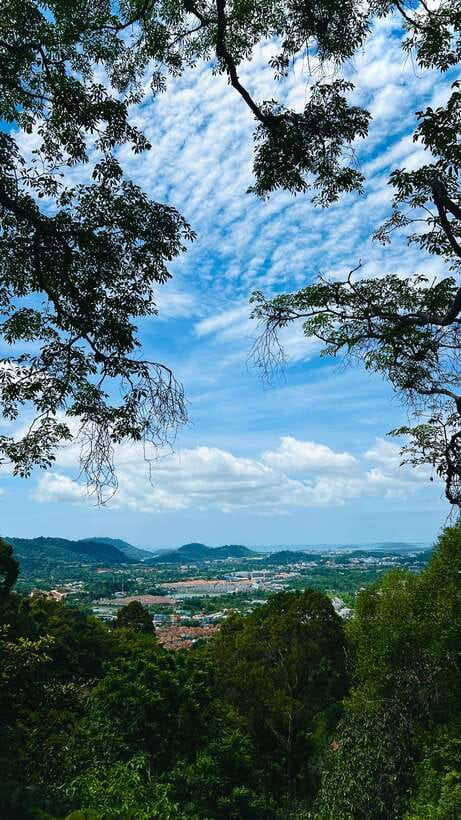 Phuket: Flying Hanuman Zipline Adventure - What Happens After Your Course: Meals, Fruit, and Photos