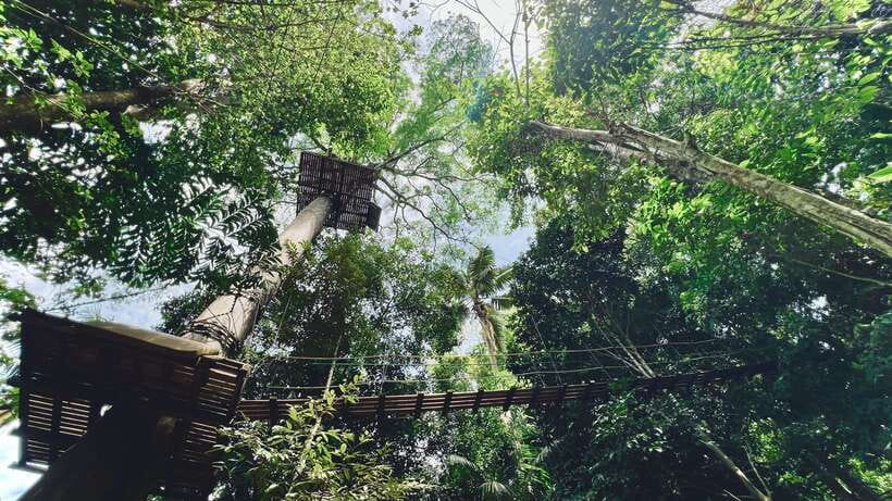 Phuket: Flying Hanuman Zipline Adventure - How Long It Actually Takes, and How to Plan Your Photos and Snacks