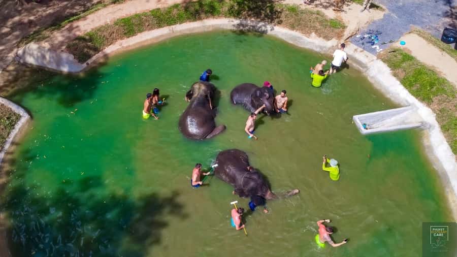 Phuket: Full-Day Elephant Explorer at Phuket Elephant Care - Getting to Naithon: the pickup and the pace