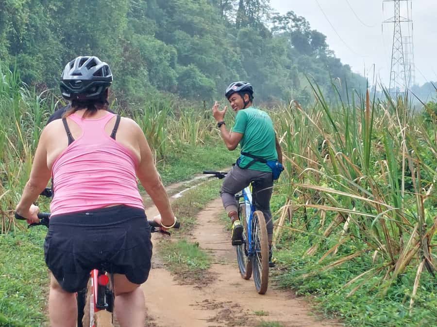 Phuket: Half-Day Countryside Cycling Tour with Lunch - A different side of Phuket: farms, jungle shade, and sea-view lunch
