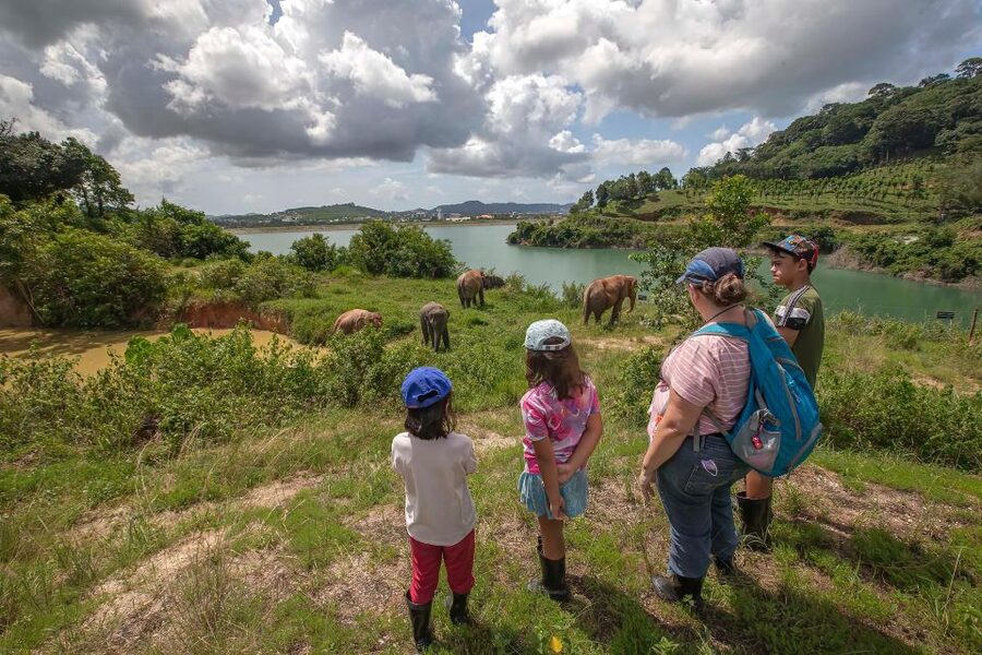 Phuket: Half-Day Ethical Elephant with Meal and Transfer - What to Bring and How to Make It Enjoyable