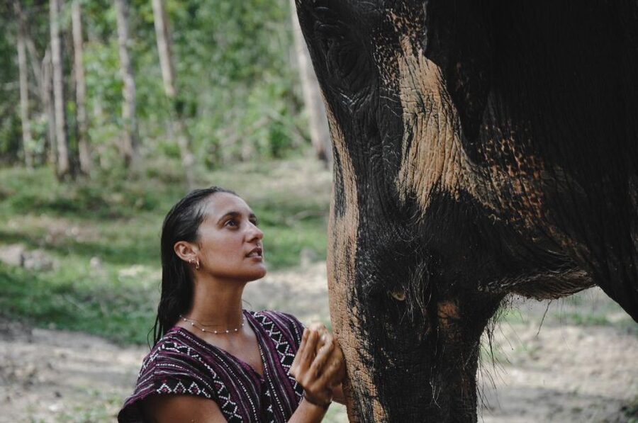 Phuket: Half Day or 2-Hour Ethical Elephant Care Sanctuary - Price and value: is about $36 actually fair?