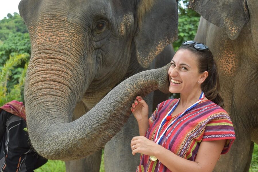 Phuket: Half Day or 2-Hour Ethical Elephant Care Sanctuary - The feeding session: making treats and learning elephant behavior