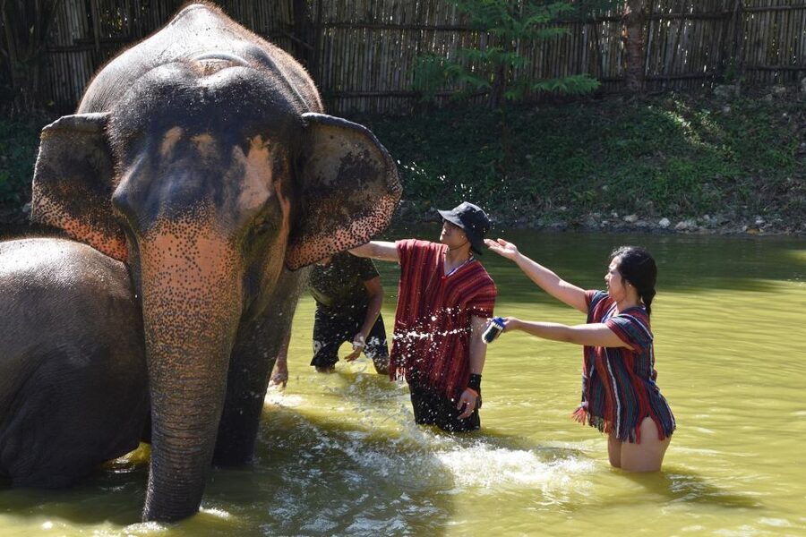 Phuket: Half Day or 2-Hour Ethical Elephant Care Sanctuary - Guides, humor, and the photo day: how memories get made