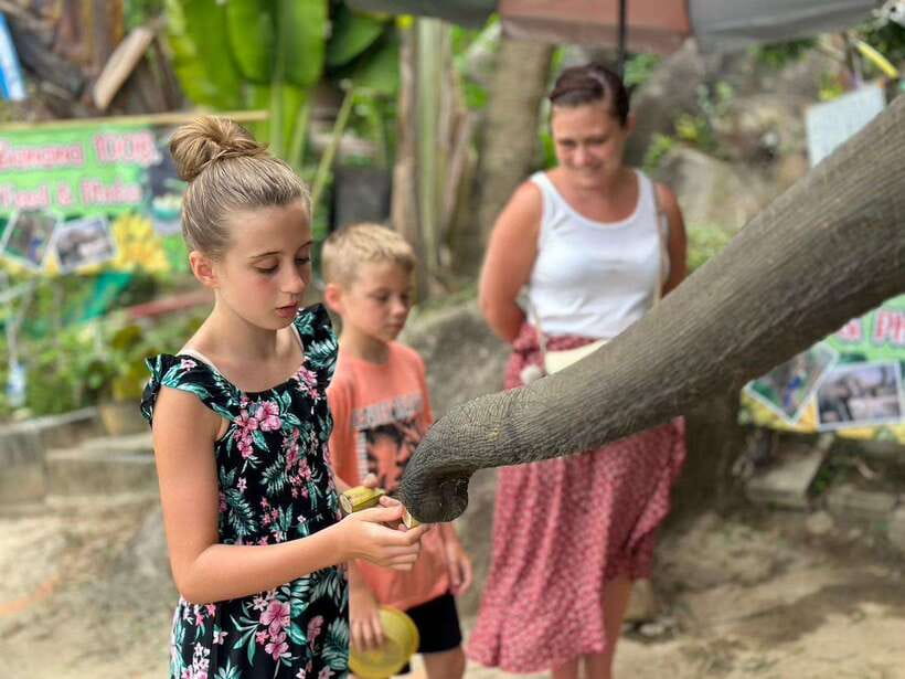 Phuket: Half Day Sightseeing and City Tour with Tour Guide - Optional add-ons: elephant, tigers, and ATV (and the timing limits)