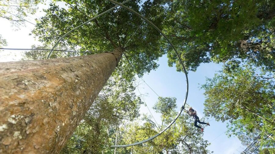 Phuket: Hanuman World Zip Line Adventure - Price and Value in Real Terms: What $112 Includes, and What Can Cost Extra