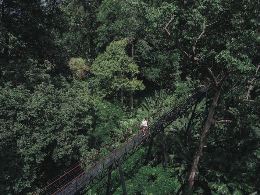 Phuket: Hanuman World Zip Line Adventure - Safety Gear and Guide Briefing: The Part That Makes You Trust the Ride