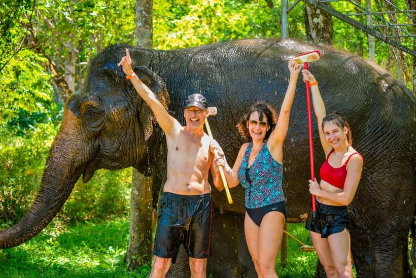 Phuket: Happy Hour Feed and Rain Shower with Elephant - Key highlights before you go