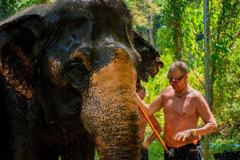 Phuket: Happy Hour Feed and Rain Shower with Elephant - Photography and the 300 baht option you should plan for