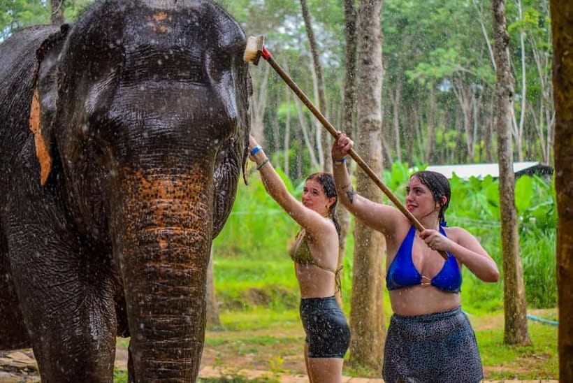 Phuket: Happy Hour Feed and Rain Shower with Elephant - Price and value: is $37 per person worth it?