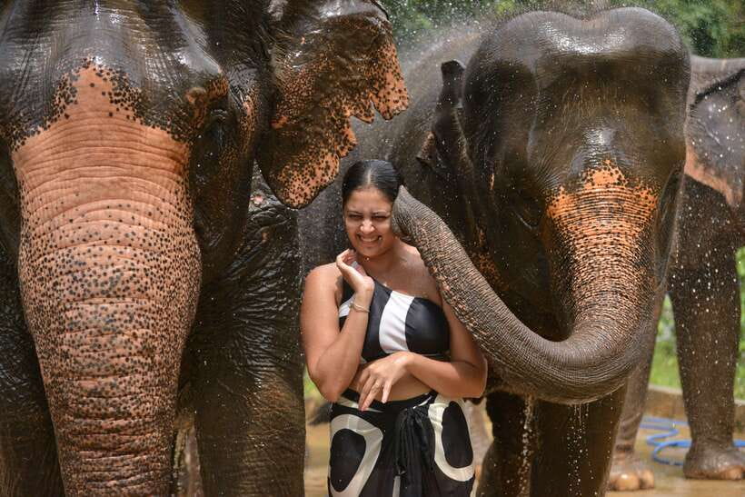 Phuket: Happy Hour Feed and Rain Shower with Elephant - Who this elephant happy hour is best for, and who should skip