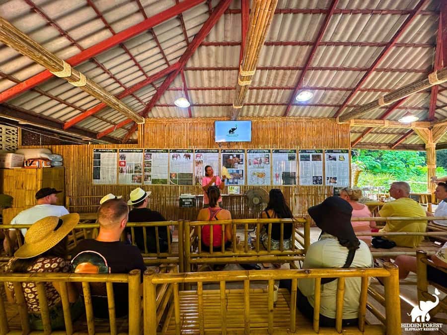 Phuket: Hidden Forest Elephant Reserve with Meal & Transfer - Your first moments: intro video, then feeding time