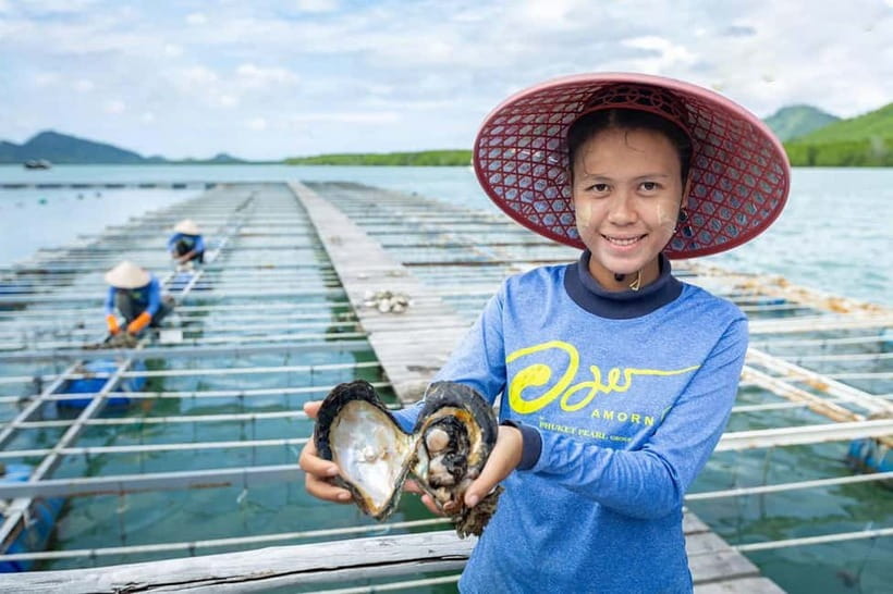 Phuket: Highlights Tour with Pearl Farm & Elephant Village - Key Highlights You Will Care About