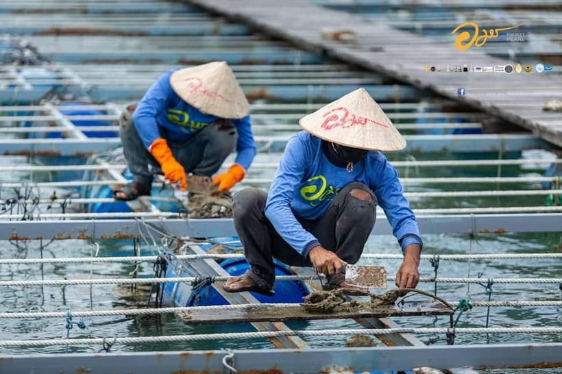 Phuket: Highlights Tour with Pearl Farm & Elephant Village - Price and Value: Is $69 a Fair Deal for This Route?