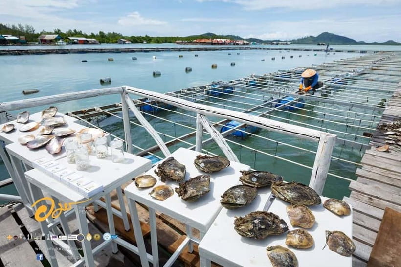 Phuket: Highlights Tour with Pearl Farm & Elephant Village - How the Day Flows, Stop by Stop