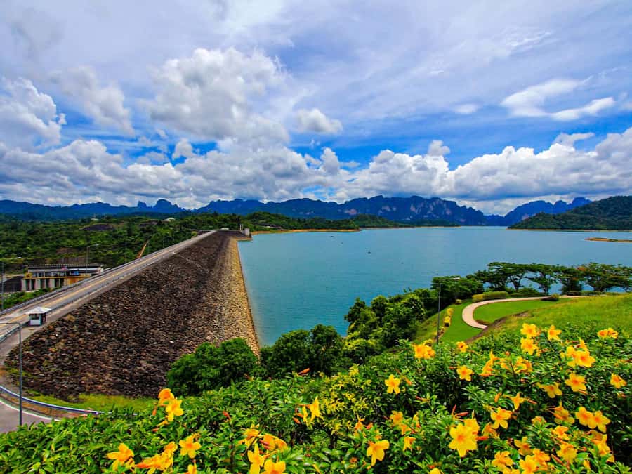 Phuket: Hong Island Lagoon and Lao Lading Island Speed Boat - Price and Value: What You’re Paying For, Plus the Fees