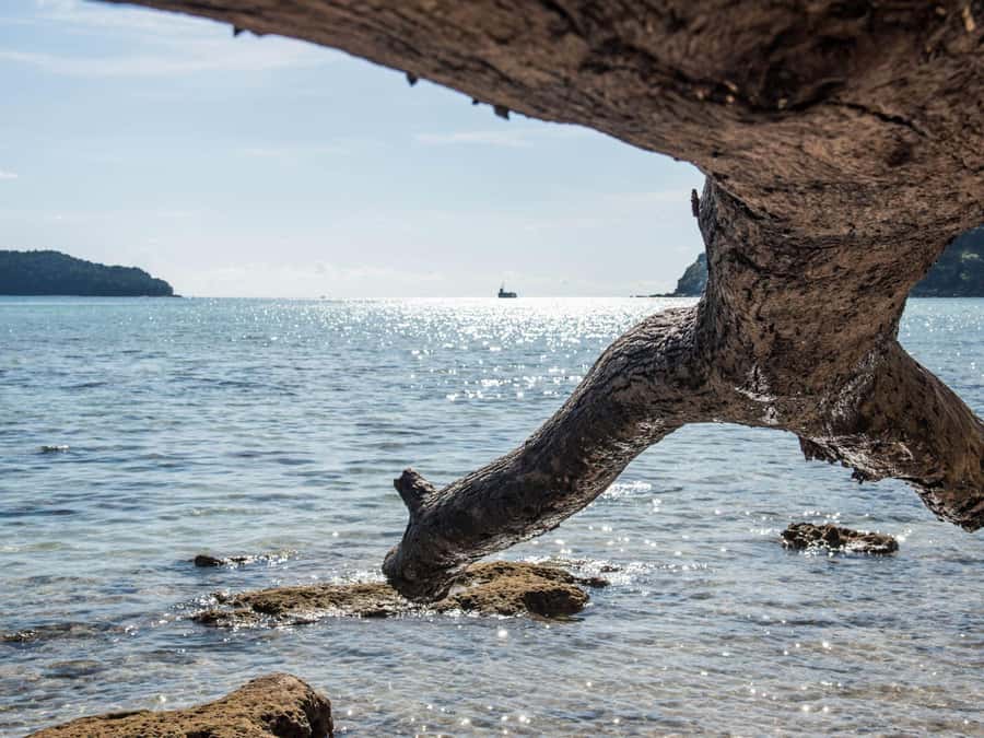 Phuket: James Bond Island Sea Canoe by Speedboat - James Bond Island, Khao Ping Kan and Koh Tapu: photos, shopping, and patience