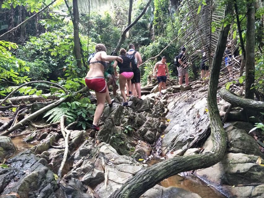 Phuket: Jungle Trekking Experience at Khao Phra Taew - Key things you will notice on this trek