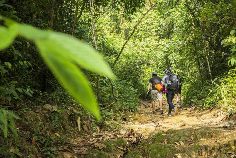 Phuket: Jungle Trekking Experience at Khao Phra Taew - Khao Phra Taew: the rainforest side of Phuket you will actually feel