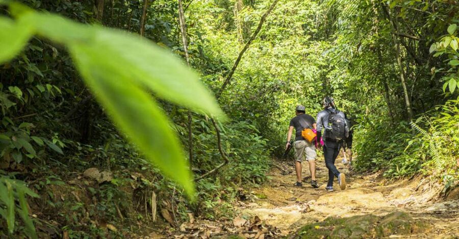 Phuket: Jungle Trekking Experience at Khao Phra Taew - The 8 km route between Ton Sai and Bang Pae Waterfalls