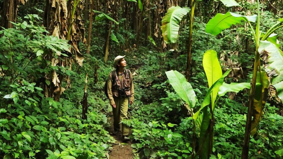 Phuket: Jungle Trekking Experience at Khao Phra Taew - Lunch after the hike: simple, local, and timed for your energy