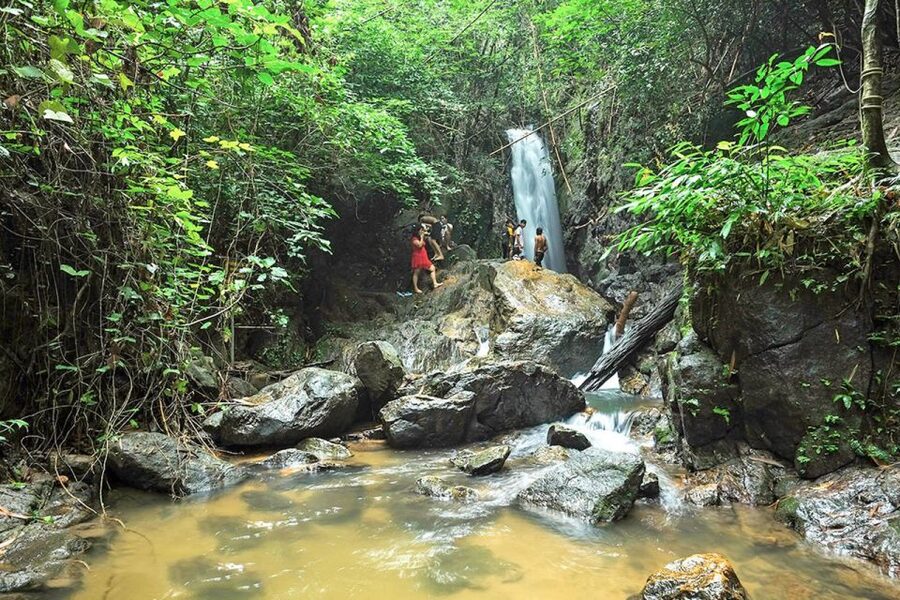 Phuket: Jungle Trekking Experience at Khao Phra Taew - Price and value: how $77 stacks up for what you get