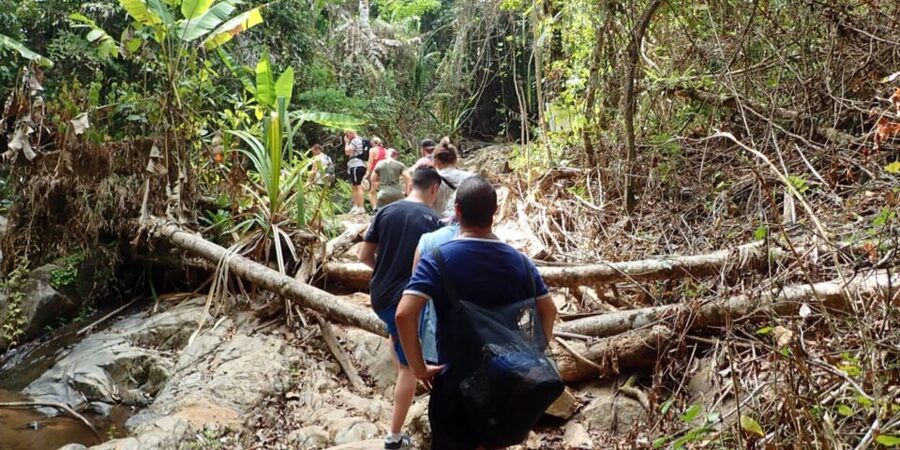Phuket: Jungle Trekking Experience at Khao Phra Taew - Group size and the quality of the guide experience